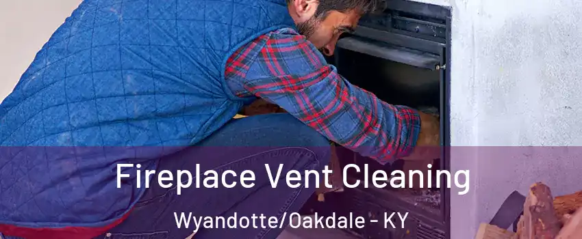 Fireplace Vent Cleaning Wyandotte/Oakdale - KY