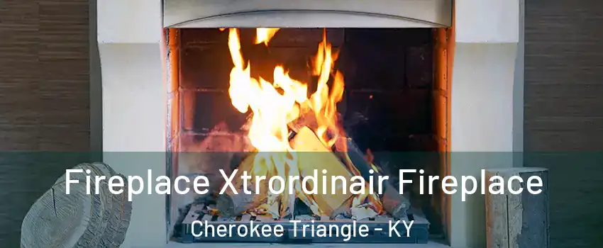 Fireplace Xtrordinair Fireplace Cherokee Triangle - KY