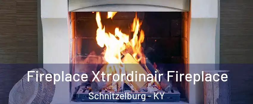 Fireplace Xtrordinair Fireplace Schnitzelburg - KY