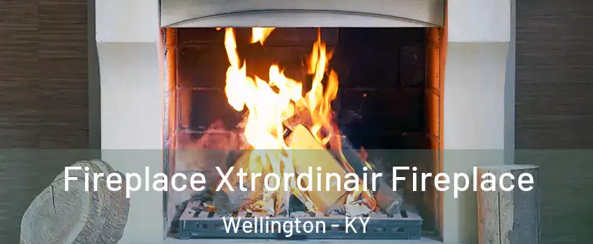 Fireplace Xtrordinair Fireplace Wellington - KY