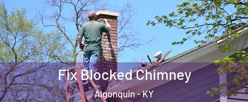 Fix Blocked Chimney Algonquin - KY