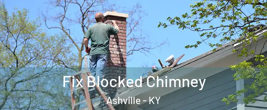 Fix Blocked Chimney Ashville - KY