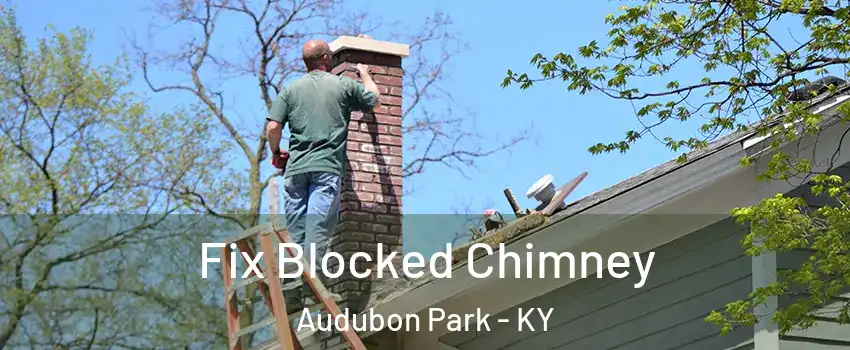 Fix Blocked Chimney Audubon Park - KY