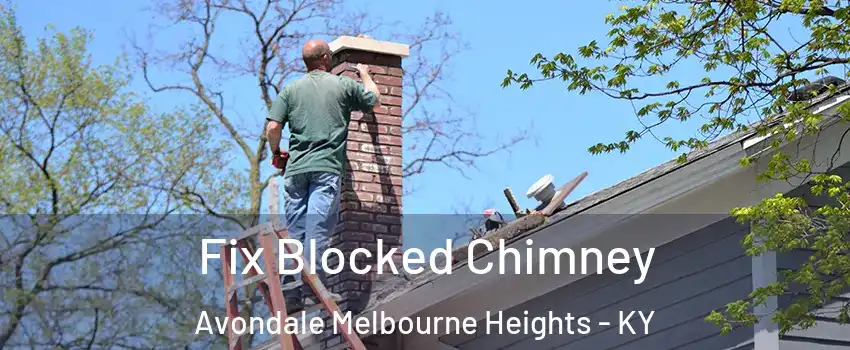 Fix Blocked Chimney Avondale Melbourne Heights - KY