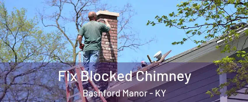 Fix Blocked Chimney Bashford Manor - KY