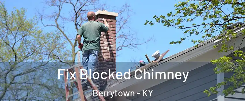 Fix Blocked Chimney Berrytown - KY