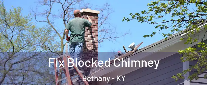 Fix Blocked Chimney Bethany - KY