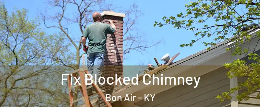 Fix Blocked Chimney Bon Air - KY