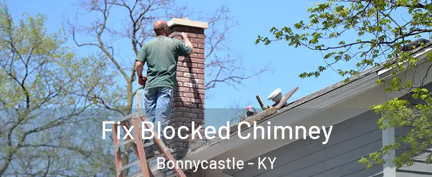 Fix Blocked Chimney Bonnycastle - KY