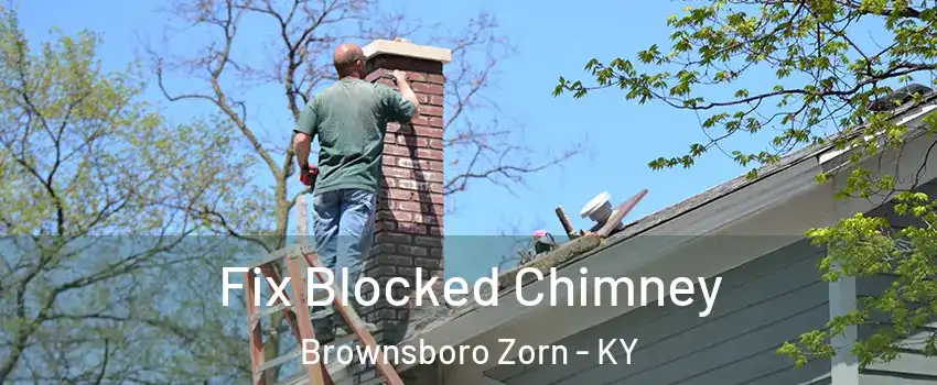 Fix Blocked Chimney Brownsboro Zorn - KY