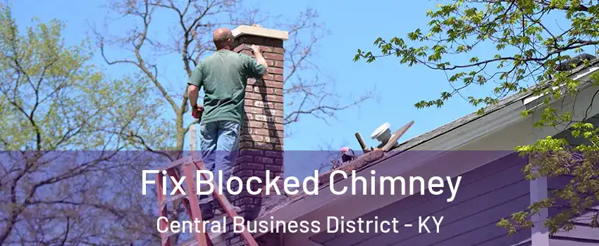 Fix Blocked Chimney Central Business District - KY