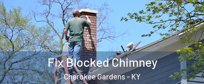 Fix Blocked Chimney Cherokee Gardens - KY