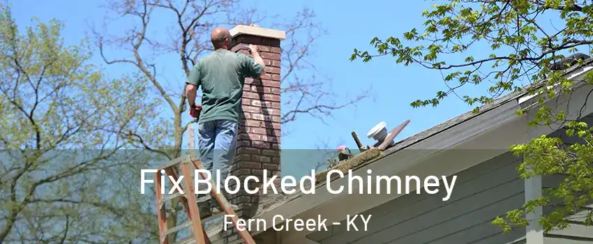 Fix Blocked Chimney Fern Creek - KY