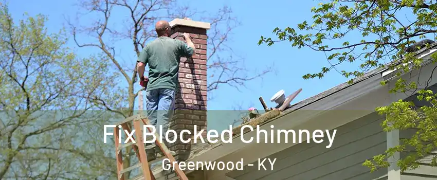 Fix Blocked Chimney Greenwood - KY