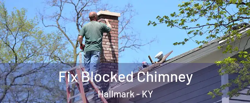 Fix Blocked Chimney Hallmark - KY