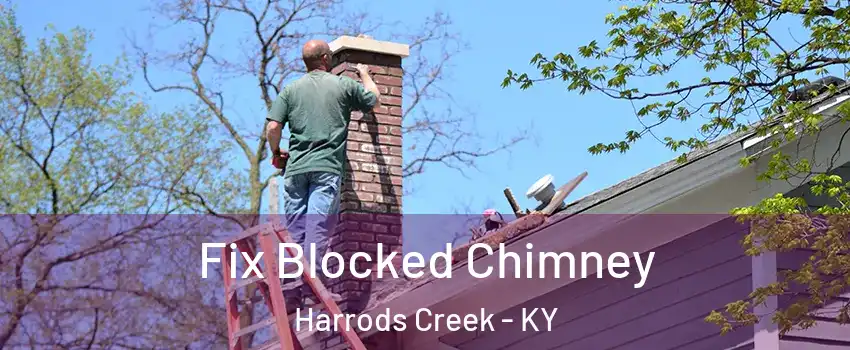 Fix Blocked Chimney Harrods Creek - KY