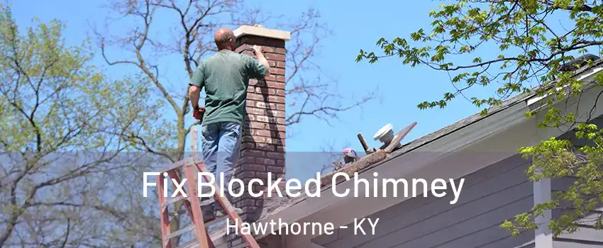 Fix Blocked Chimney Hawthorne - KY