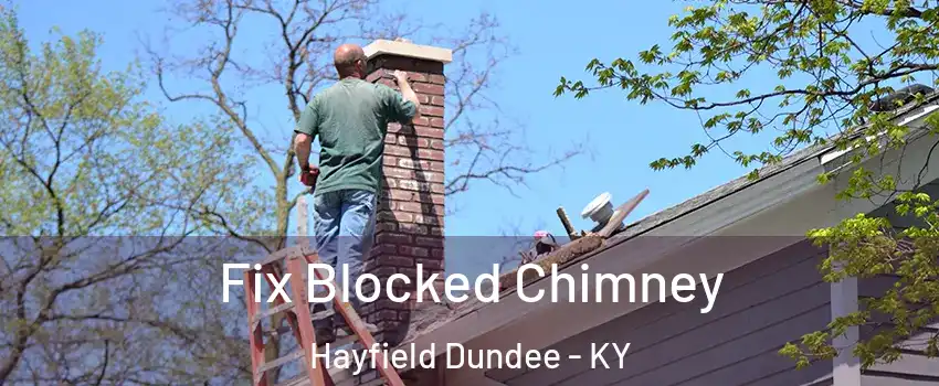 Fix Blocked Chimney Hayfield Dundee - KY