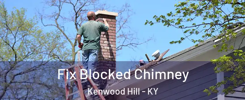 Fix Blocked Chimney Kenwood Hill - KY