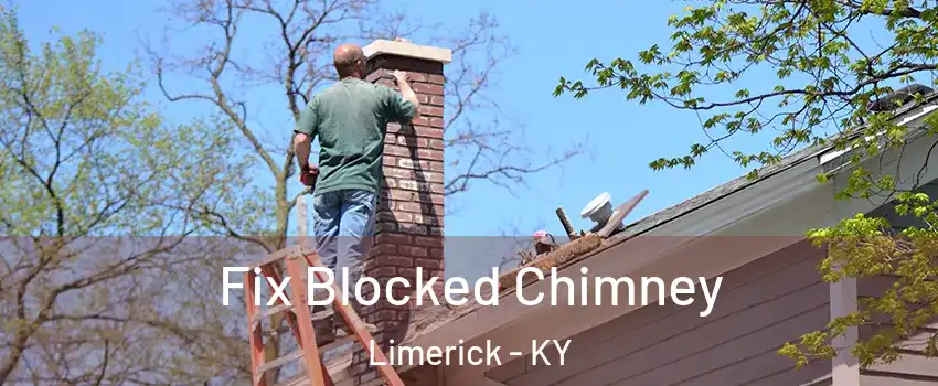 Fix Blocked Chimney Limerick - KY