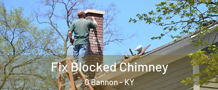 Fix Blocked Chimney O'Bannon - KY