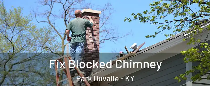 Fix Blocked Chimney Park Duvalle - KY