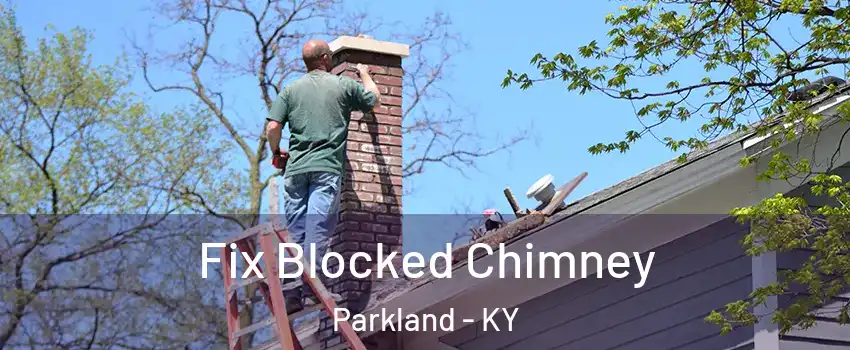 Fix Blocked Chimney Parkland - KY