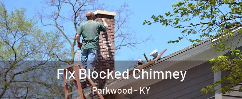 Fix Blocked Chimney Parkwood - KY