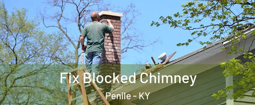 Fix Blocked Chimney Penile - KY