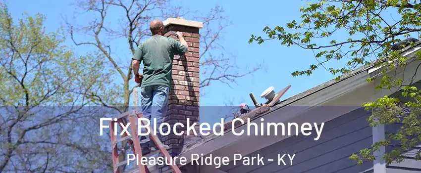 Fix Blocked Chimney Pleasure Ridge Park - KY