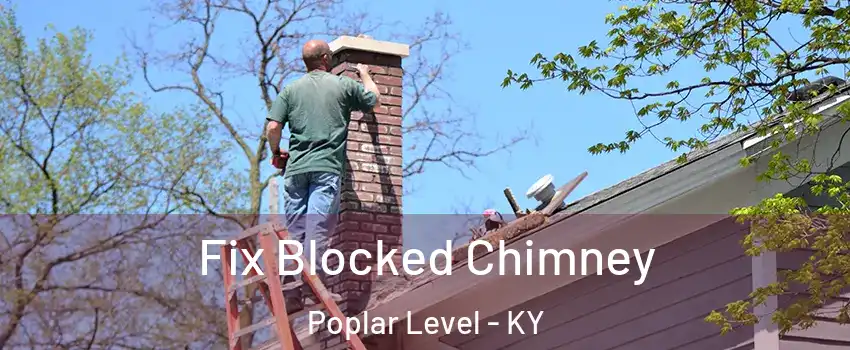 Fix Blocked Chimney Poplar Level - KY