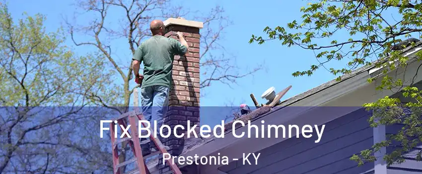 Fix Blocked Chimney Prestonia - KY