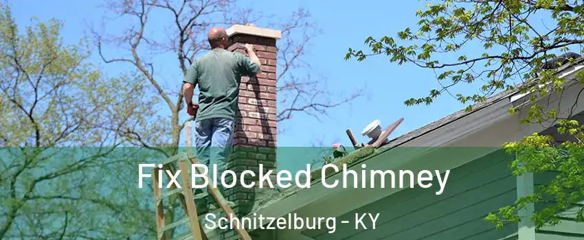 Fix Blocked Chimney Schnitzelburg - KY