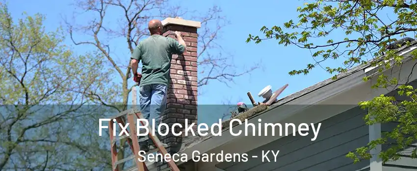 Fix Blocked Chimney Seneca Gardens - KY