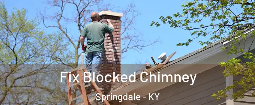 Fix Blocked Chimney Springdale - KY