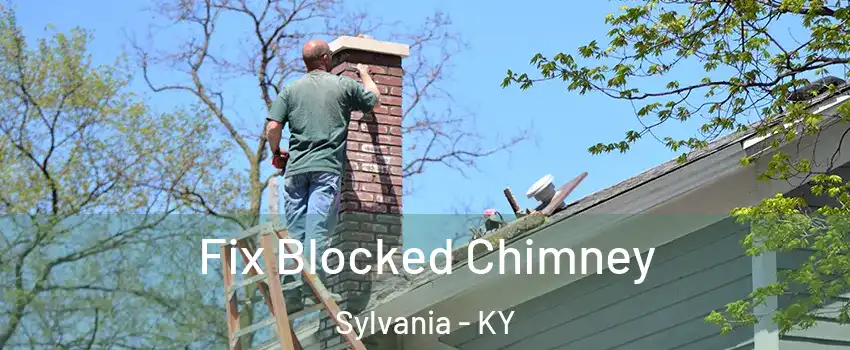 Fix Blocked Chimney Sylvania - KY