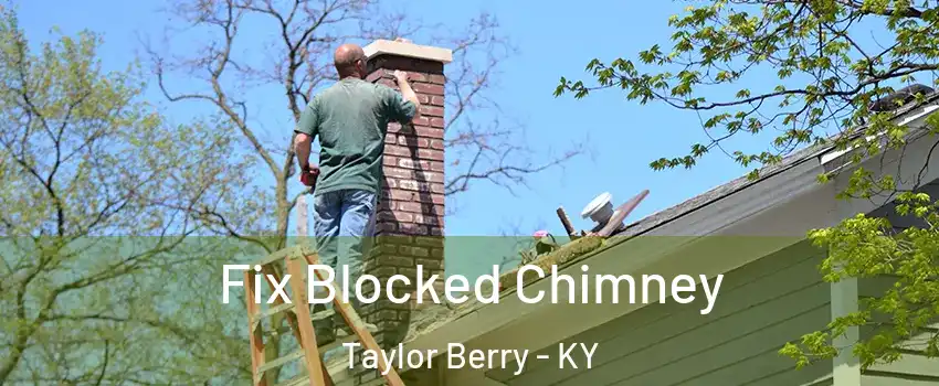 Fix Blocked Chimney Taylor Berry - KY