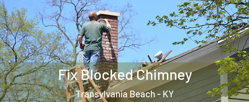 Fix Blocked Chimney Transylvania Beach - KY