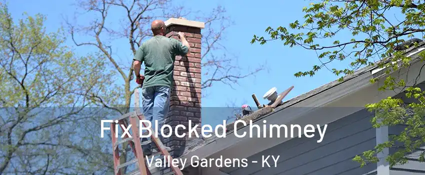 Fix Blocked Chimney Valley Gardens - KY