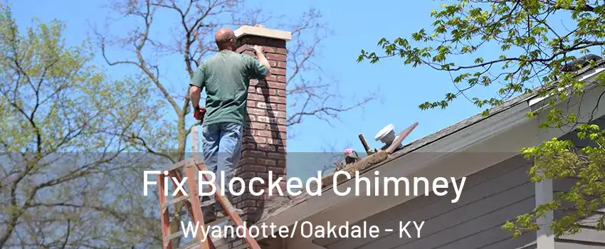 Fix Blocked Chimney Wyandotte/Oakdale - KY