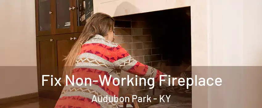 Fix Non-Working Fireplace Audubon Park - KY