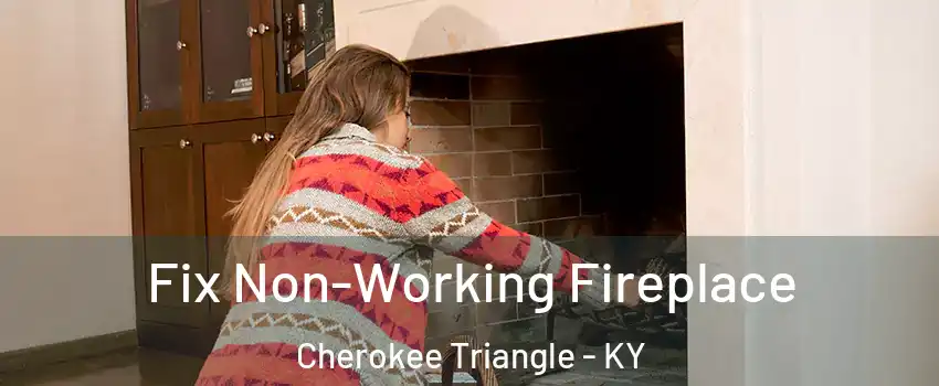 Fix Non-Working Fireplace Cherokee Triangle - KY