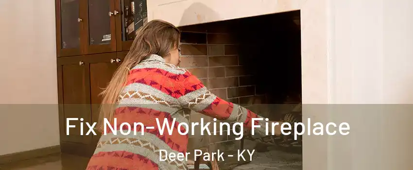 Fix Non-Working Fireplace Deer Park - KY