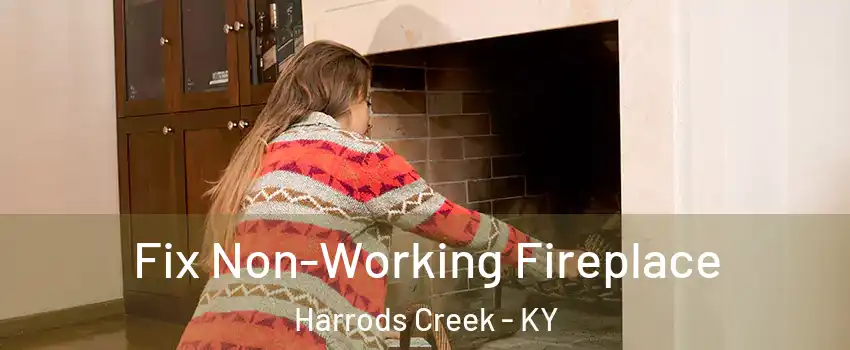 Fix Non-Working Fireplace Harrods Creek - KY