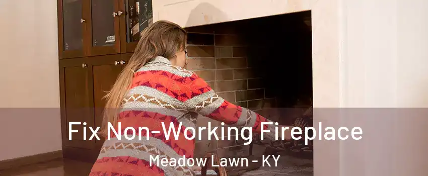 Fix Non-Working Fireplace Meadow Lawn - KY