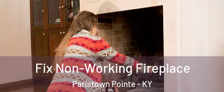 Fix Non-Working Fireplace Paristown Pointe - KY