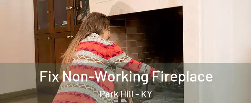 Fix Non-Working Fireplace Park Hill - KY