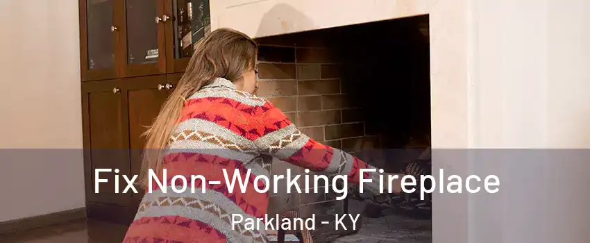 Fix Non-Working Fireplace Parkland - KY