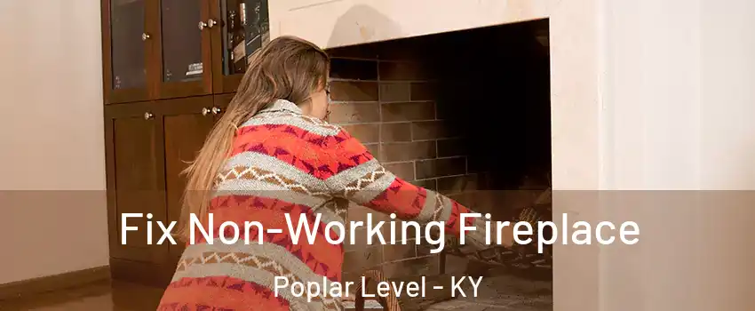 Fix Non-Working Fireplace Poplar Level - KY