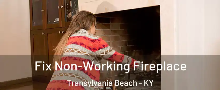 Fix Non-Working Fireplace Transylvania Beach - KY